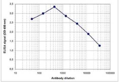 ELISA: Histone H4 [ac Lys8] Antibody [NBP2-59248] - To determine the titer, an ELISA was performed using a serial dilution of the antibody directed against human H4K8ac. The antigen used was a peptide containing the histone modification of interest. By plotting the absorbance against the antibody dilution, the titer of the antibody was estimated to be 1:17,500.